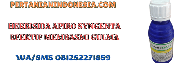 herbisida,apiro,syngenta,apiro 550.8 sc,pertanian indonesia